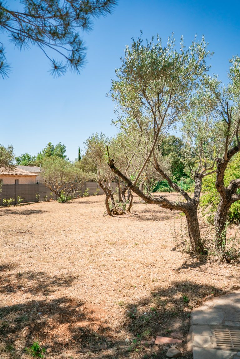 Vue panoramique sur le vaste jardin de 3000 m² entourant la villa Ô Sud Location
