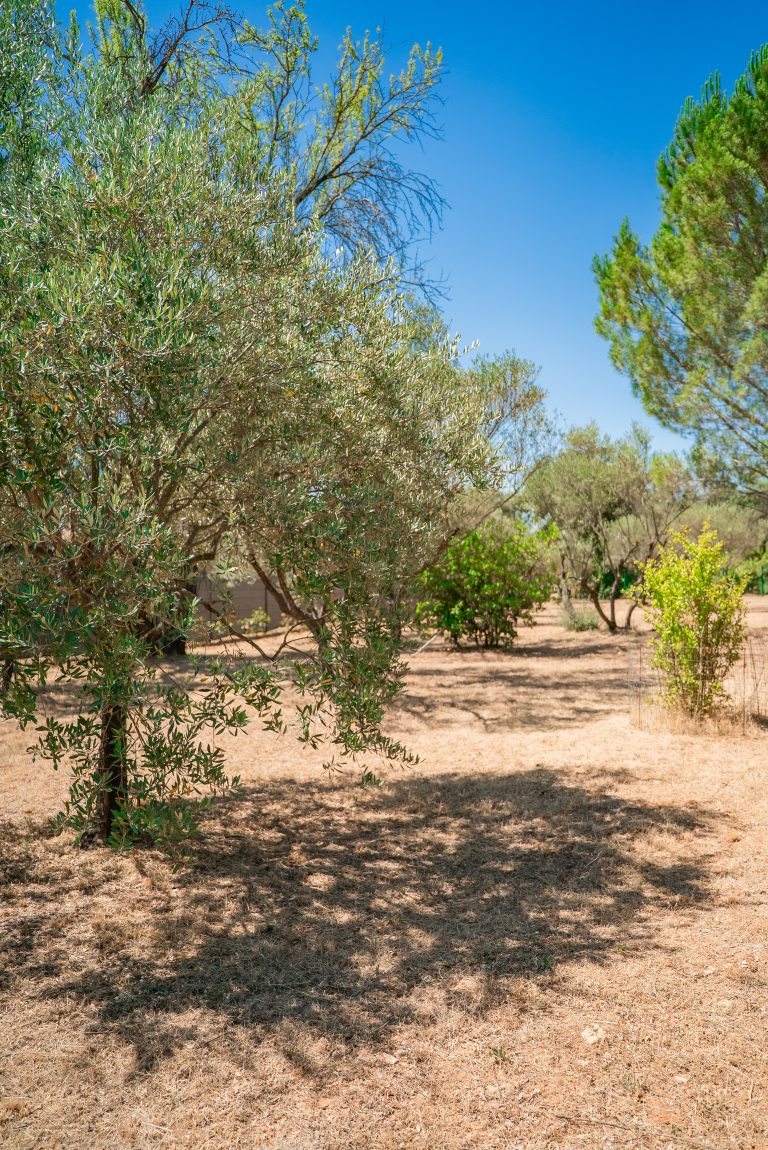 Vue panoramique sur le vaste jardin de 3000 m² entourant la villa Ô Sud Location