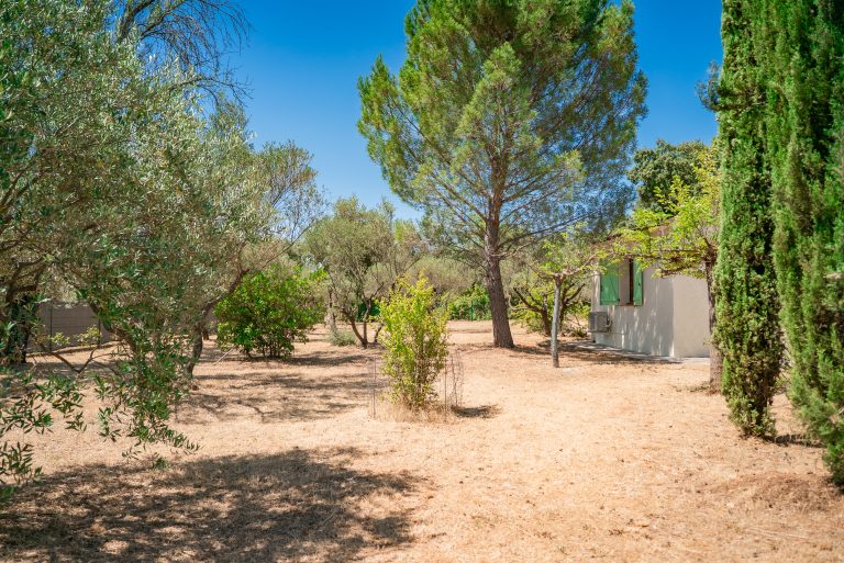 Photographie montrant le jardin de la villa Ô Sud Location, avec une piscine claire entourée de transats confortables. L’espace extérieur est aménagé pour offrir un cadre de détente et de convivialité, parfait pour profiter du climat doux et ensoleillé du Sud de la France.
