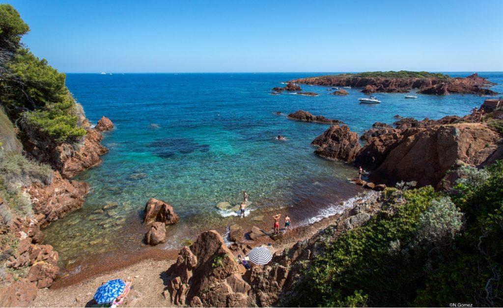 Plage de sable fin à Saint-Raphaël avec eau turquoise et palmiers, à proximité de Cotignac